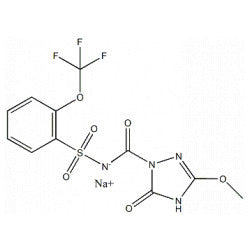 4-Desmethyl Flucarbazone Sodium Salt