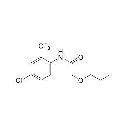 Triflumizole Metabolite FM-1-1