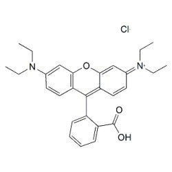 Rhodamine B
