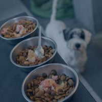 VICAM™: Feed, Grain & Pet Food