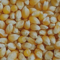VICAM™: Corn