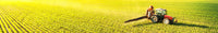 Organic Pyrethroids