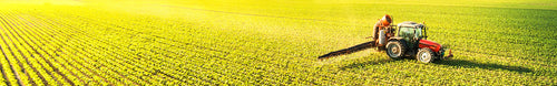 Organic Pyrethroids