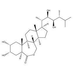 Epibrassinolide