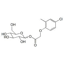 MCPA-glucoside