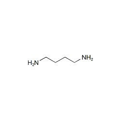 1,4-Diaminobutane