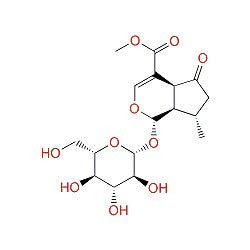 Verbenalin