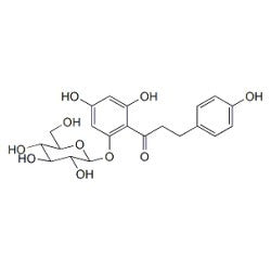 Phloridzin dihydrate