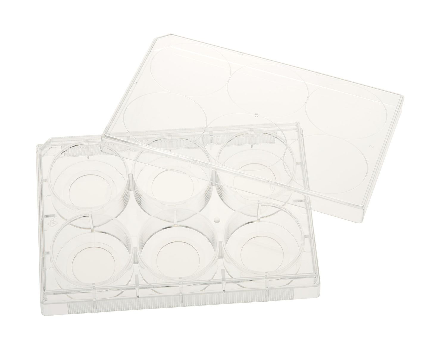 6 Well Tissue Culture Plate with Lid, 20mm Glass Bottom, Individual, Sterile