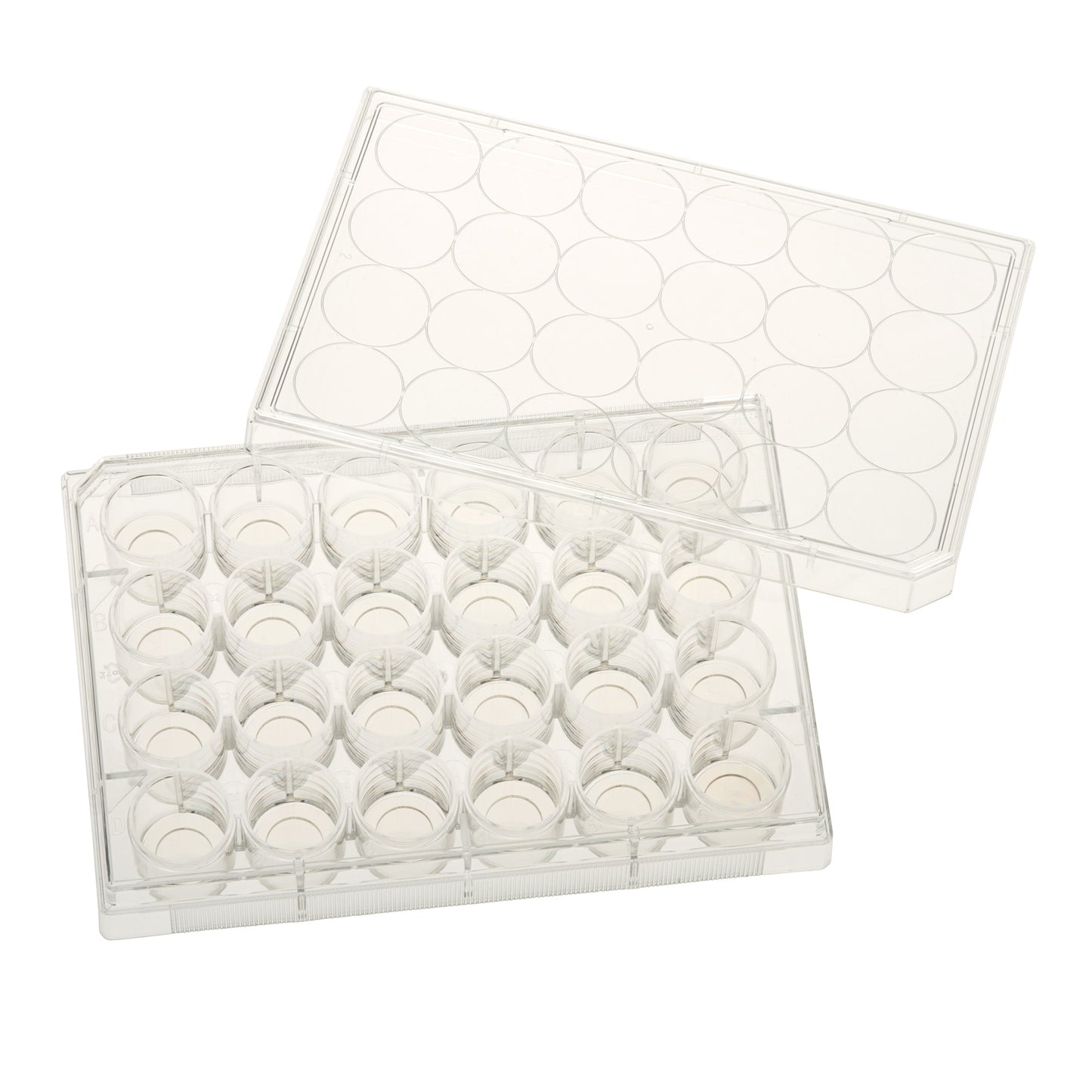 24 Well Tissue Culture Plate with Lid, 10mm Glass Bottom, Individual, Sterile