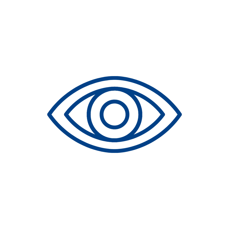 OUR VISION
