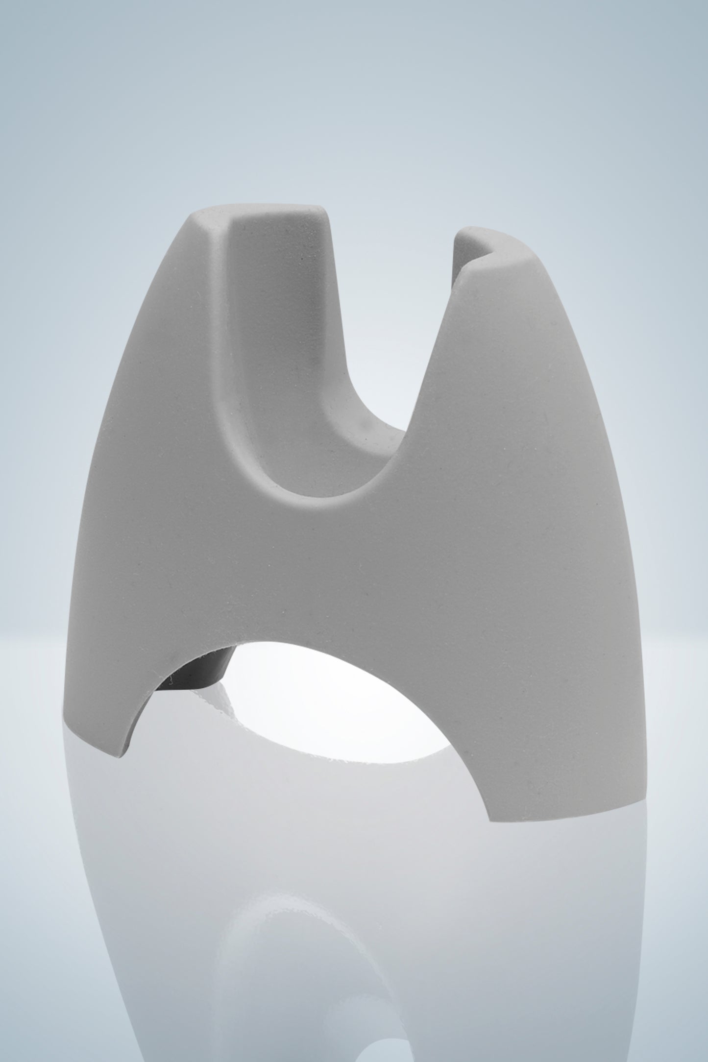 Stand for Pipetus&reg;